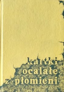 Irena Cipori, Rebeka Lipiner • Kartki ocalałe z płomieni