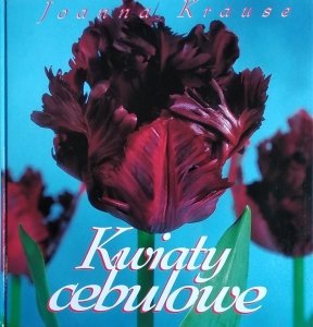 Joanna Krause • Kwiaty cebulowe