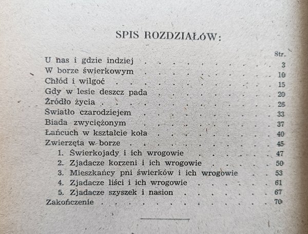 Adam Dziurzyński W borze świerkowym / 1946