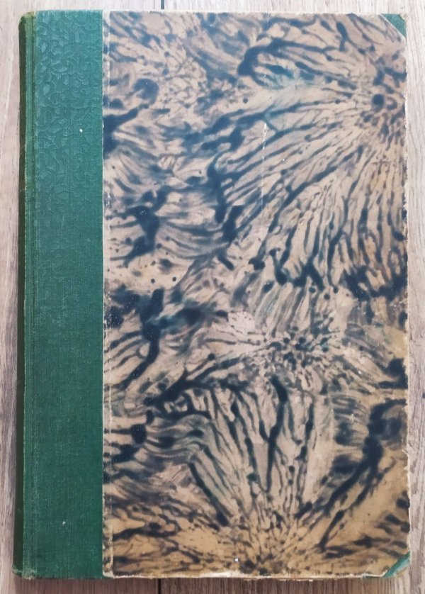 Józef Piłsudski Rok 1920