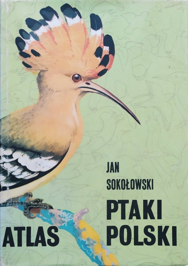 Jan Sokołowski Ptaki Polski. Atlas
