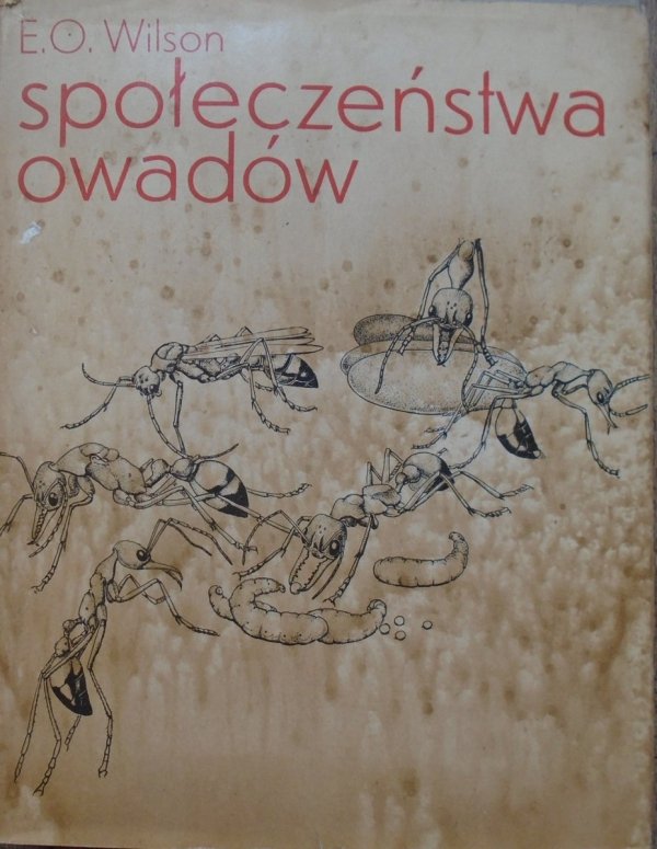 Edward Wilson Społeczeństwa owadów