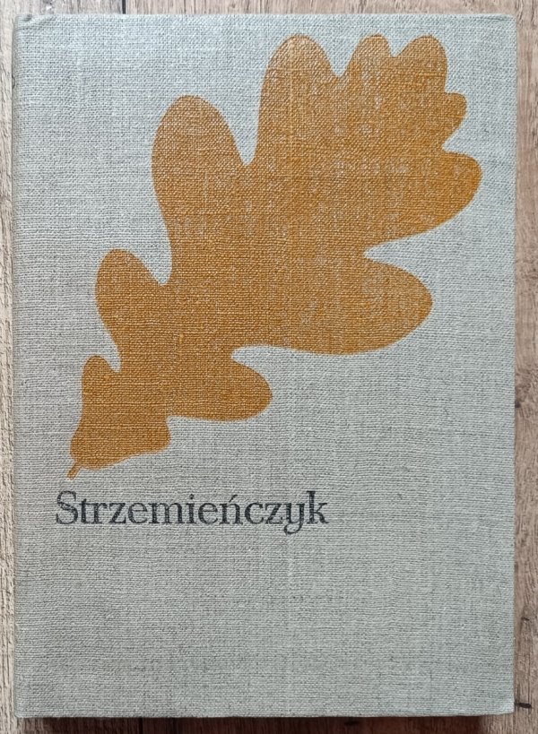 Józef Ignacy Kraszewski Strzemieńczyk