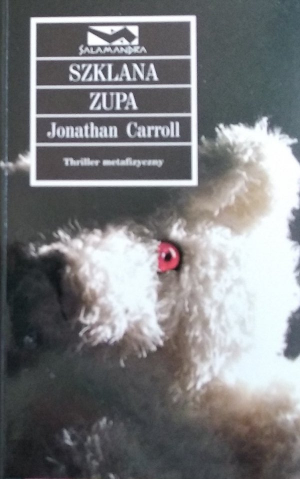 Jonathan Carroll • Szklana zupa