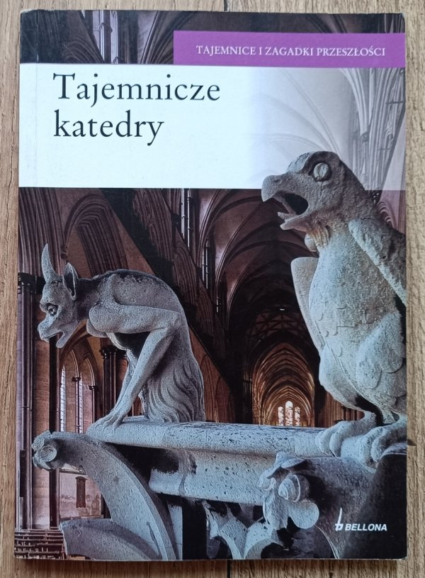 Tajemnicze katedry / seria: Tajemnice i zagadki przeszłości
