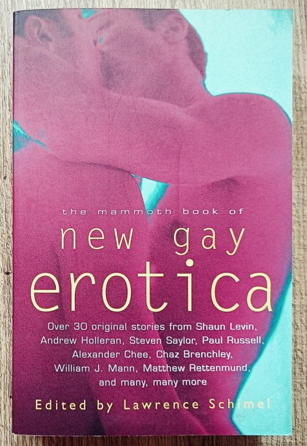 The Mammoth Book of New Gay Erotica
