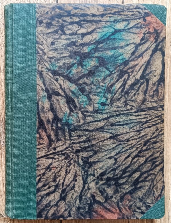 Francis Bacon Szkice polityczno-etyczne serja 1 / 1909