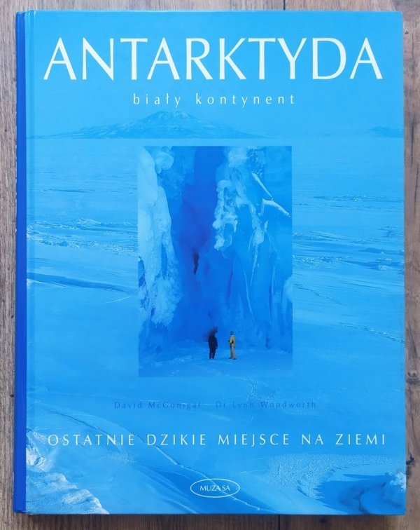 Antarktyda biały kontynent. Ostatnie dzikie miejsce na Ziemi