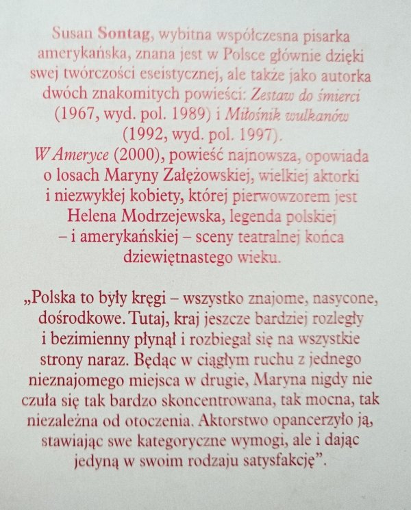 Susan Sontag W Ameryce