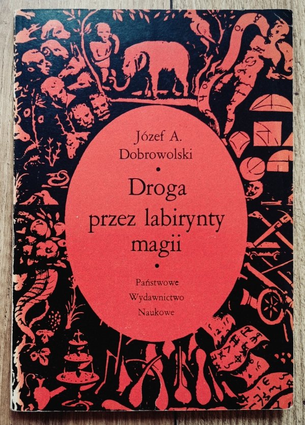 Droga przez labirynty magii. Giambattista Della Porta 1535-1615