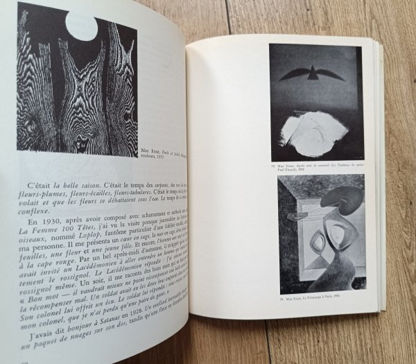 Patrick Waldberg Chemins du surrealisme
