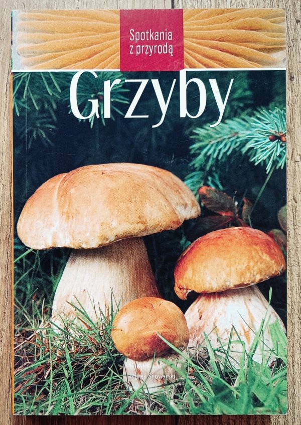 Marek Snowarski Grzyby. Spotkania z przyrodą