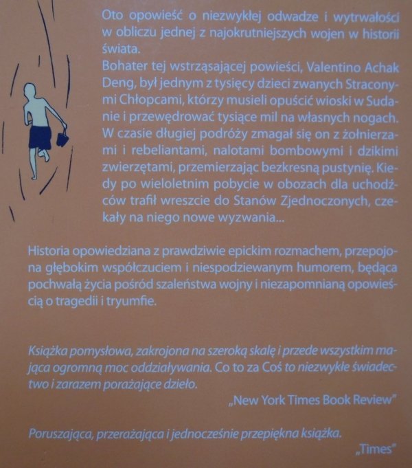 Dave Eggers • Co to za Coś