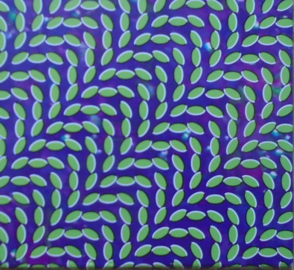 Animal Collective Merriweather Post Pavilion CD