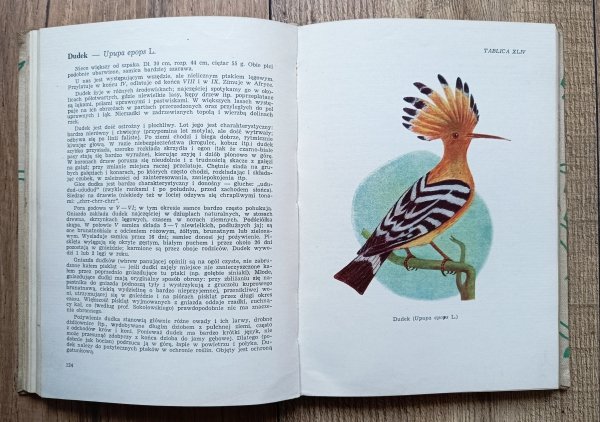 Aleksander Haber Atlas ptaków leśnych