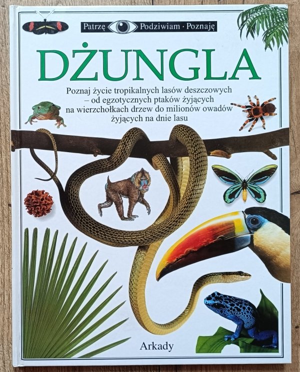 Dżungla. Patrzę Podziwiam Poznaję