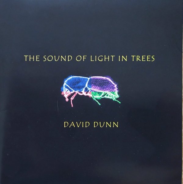 David Dunn The Sound of Light in Trees CD