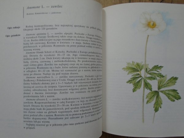 J. Krejca, A. Jakabova • Rośliny skalne