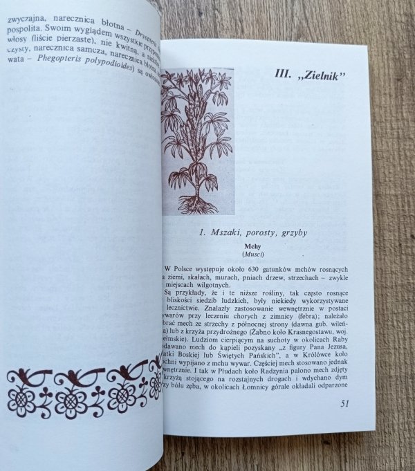 Zerwij ziele z dziewięciu miedz. Ziołolecznictwo ludowe w Polsce w XIX i początku XX wieku
