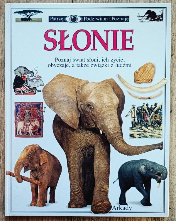 Słonie. Patrzę Podziwiam Poznaję