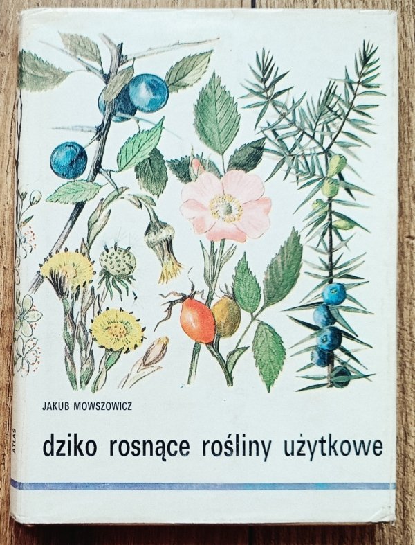 Jakub Mowszowicz Dziko rosnące rośliny użytkowe