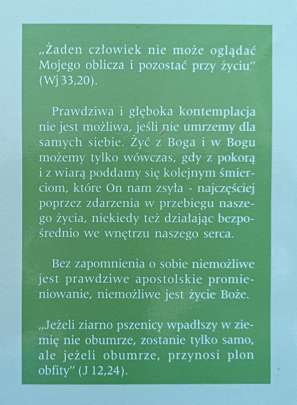 Brat Efraim Droga przez mrok albo szaleńcy Boży