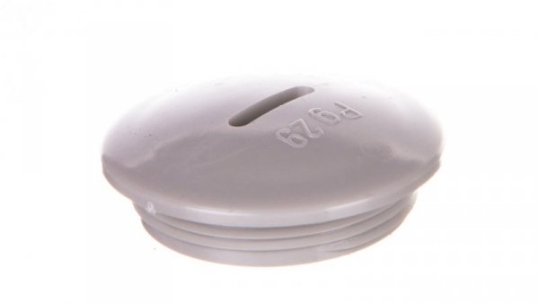 Zaślepka polistyrenowa PG29 108 PG29 2033291 /50szt./