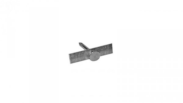 Taśma aluminiowa cięta 40 mm z gwoździem 3x30 mm /1kg/ TA-Cg-40/1 /325szt./