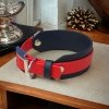 Obroża dla CHARTA L (36 - 41 cm) oryginalny BIOTHANE® 38mm
