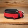 Obroża dla CHARTA L (36 - 41 cm) oryginalny BIOTHANE® 38mm