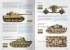 Ammo by Mig 6303 How to Paint Mid WWII German Tanks (Feb 1943 - Sep 1944) (Bilingual English & Spanish)
