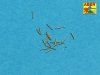 Aber 1:700L-36 Set of 20 pcs 37 mm /54 Breda gun barrels for Italian Navy ships 1/700
