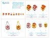 Quinta Studio QM10006 USSR Defense Societies and Red Army badges (1930s-1940s) 1/10