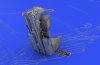 Eduard 632001 F-4C/ D/E/ F/G seat 1/32 (Tamiya)