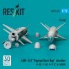 RESKIT RS72-0517 AGM-142 Popeye/Have Nap missiles (2 pcs) (3D Printed) 1/72