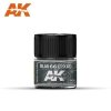 AK Interactive RC339 RLM 66 (1938) 10ML