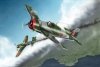 Hobby Boss 80360 British Fleet Air Arm Hellcat Mk 1 (1:48)