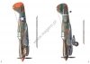 Kagero 55004 Curtiss P-40 Vol. I  EN/PL