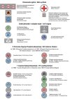 ToRo Model 35D68 - Polish Army vehicles Unit insignia, registration numbers 76 pattern & stencils 1/35