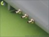 Master AM-48-025 P-40 E-N - fairings with blast tubes for .50cal Browning (6pcs) (1:48)