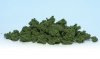 Woodland Scenics WFC183 Medium Green Underbrush 2,8L