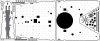 Pontos 35009F1 USS BB-63 Missouri 1991 Detail Up Set (1:350)