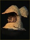 Young Miniatures YH1862 RAVEN SORCERER  1/10