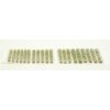 Paint Forge PFTU0622 Wild Plains 6mm