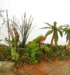 RT-Diorama 35620 Jungle Grass 1/35