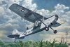 Roden 409 L-19/O-1 Bird Dog 1:48