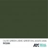AK Interactive RC209 OLIVE GREEN/USMC GREEN RAL 6003/FS34095 10ML