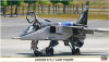 Hasegawa 00970 Jaguar E/T.4 Last Flight Limited Edition 2 Kits 1/72