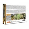 Lifecolor LP01 Liquid pigments Set Detail emphasizer 6x22ml