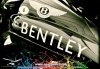 Zero Paints ZP-1062 Bentley Speed 8 Green Paint 60ml